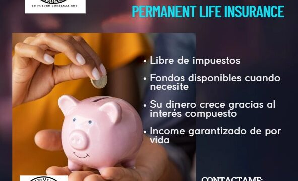 WhatsApp-Image-2025-11-05-at-12.44.39-PM